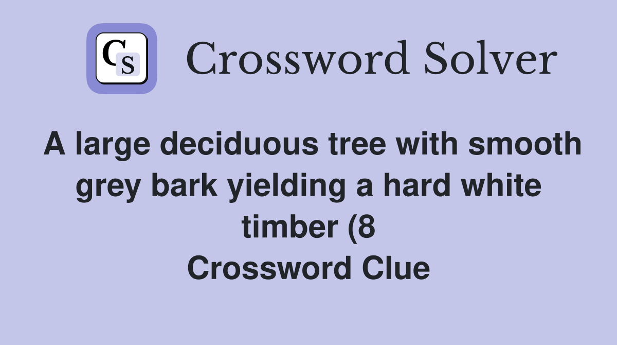 A large deciduous tree with smooth grey bark yielding a hard white A large deciduous tree with smooth grey bark yielding a hard white
