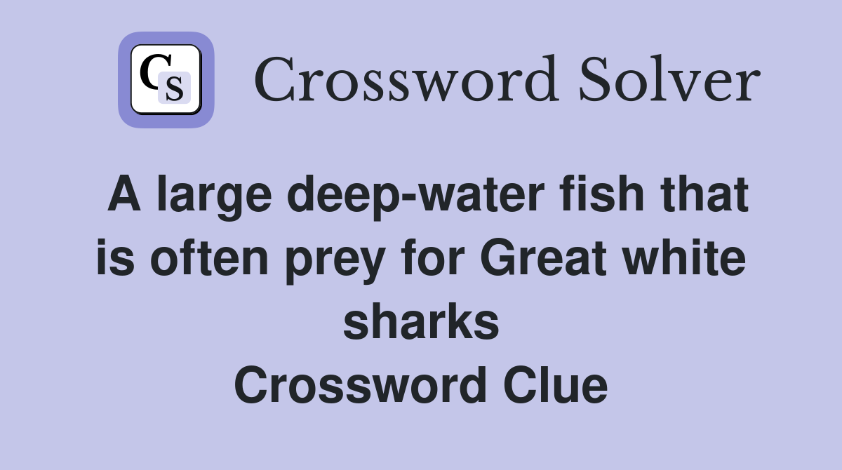 A large deep-water fish that is often prey for Great white sharks Crossword Clue