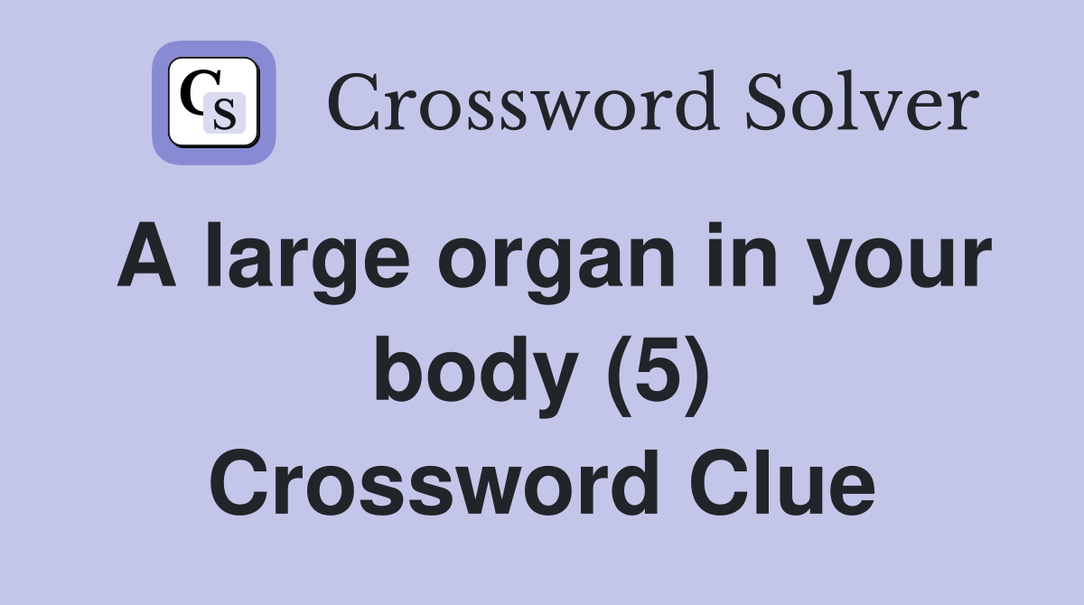 A large organ in your body (5) Crossword Clue