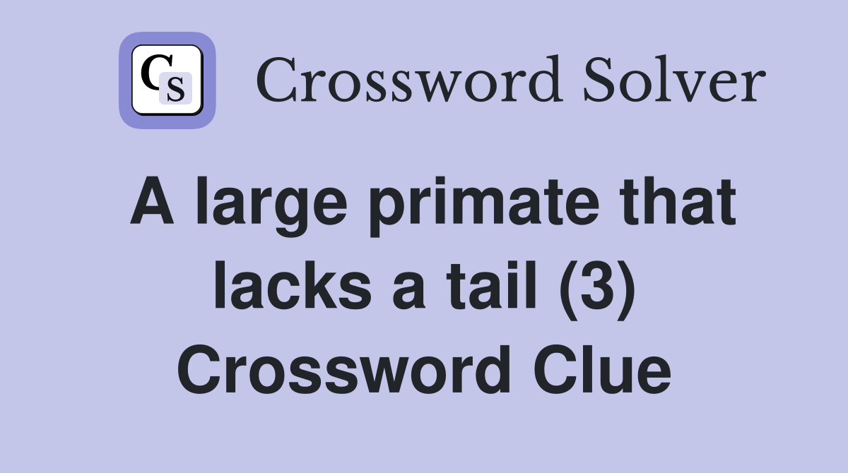 A large primate that lacks a tail (3) Crossword Clue