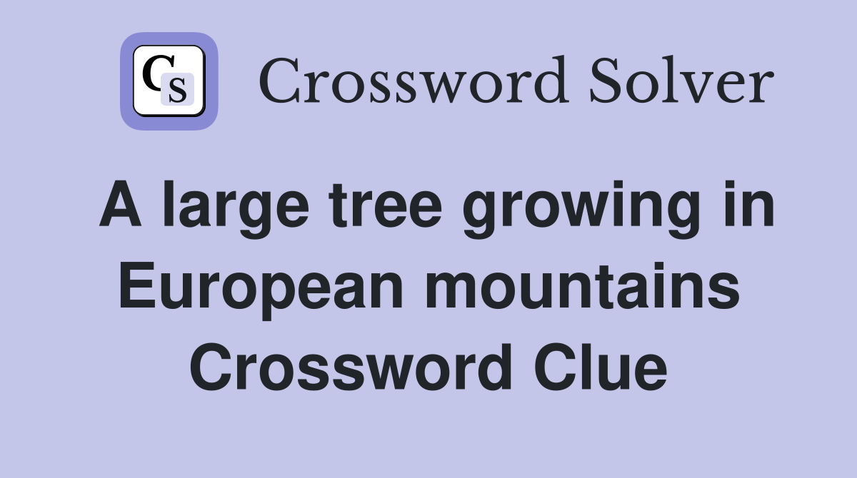 A large tree growing in European mountains Crossword Clue