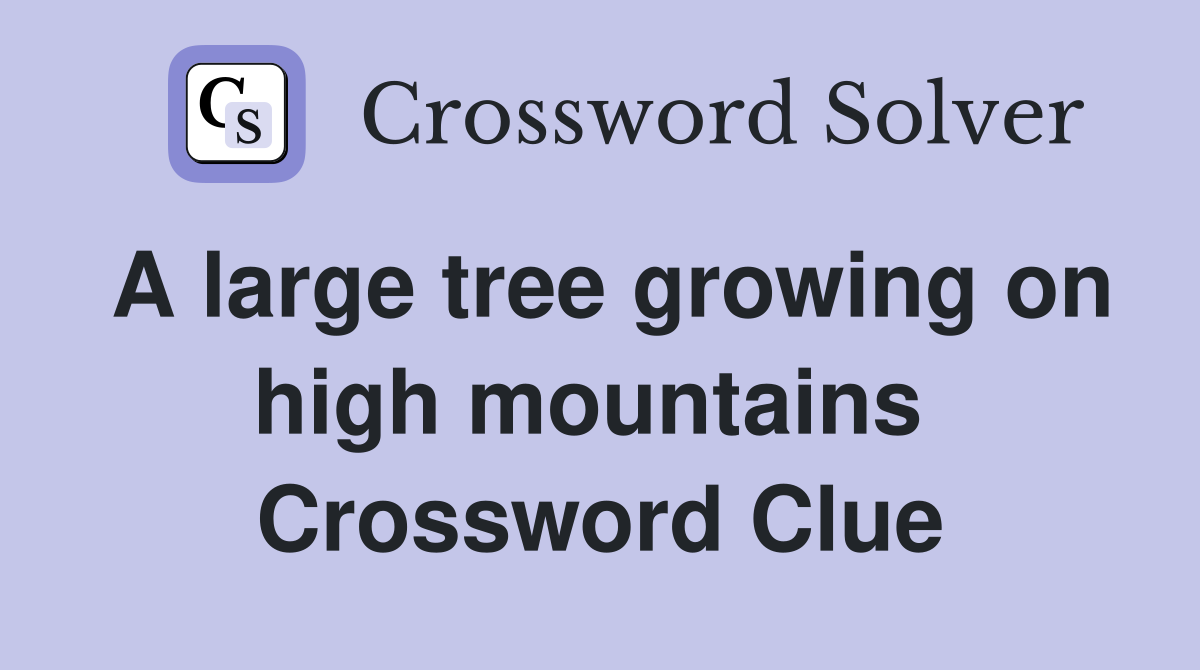 A large tree growing on high mountains  Crossword Clue