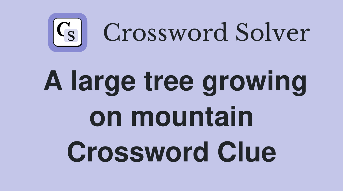 A large tree growing on mountain Crossword Clue