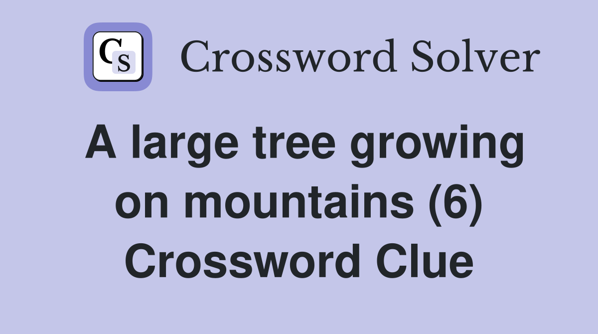 A large tree growing on mountains (6) Crossword Clue