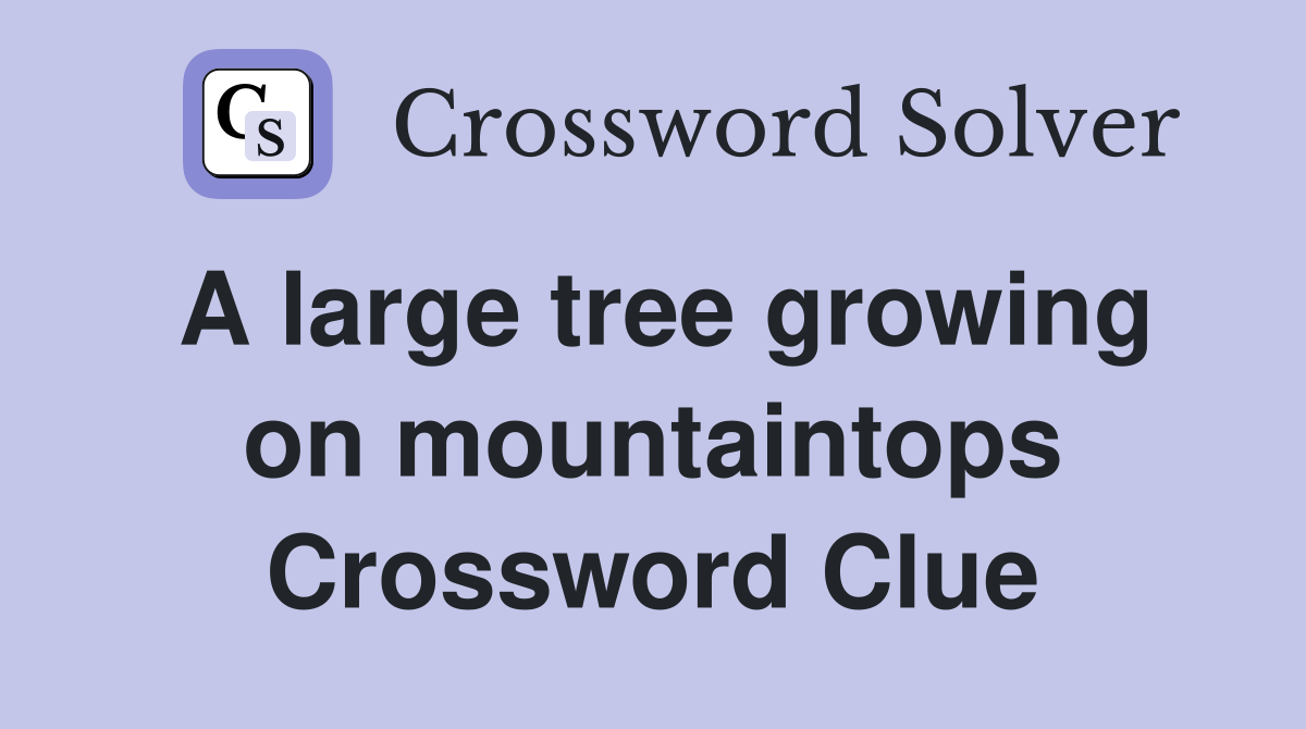A large tree growing on mountaintops Crossword Clue