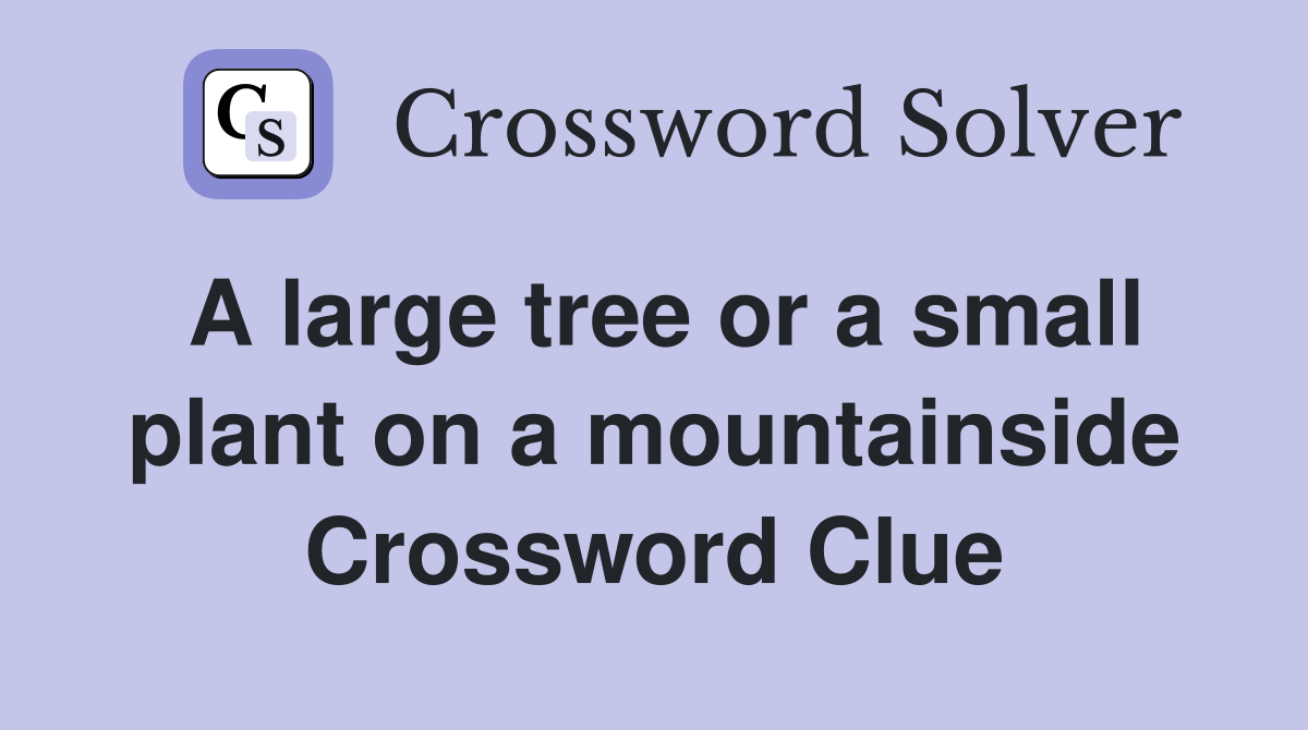 A large tree or a small plant on a mountainside Crossword Clue