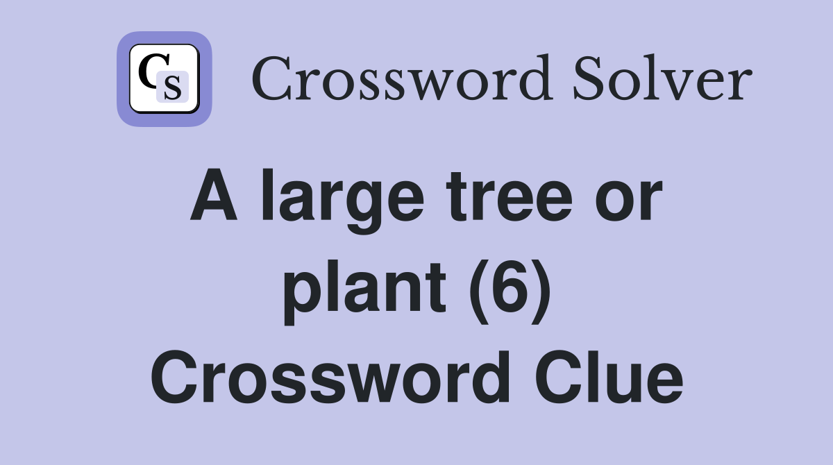 A large tree or plant (6) Crossword Clue