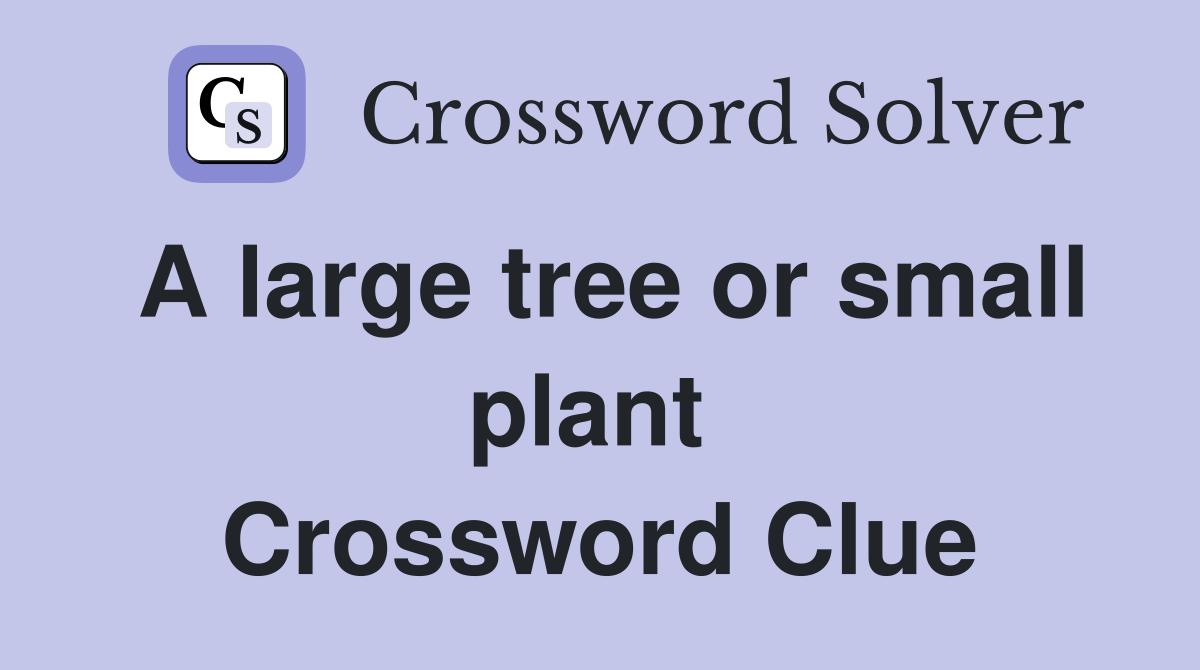 A large tree or small plant  Crossword Clue