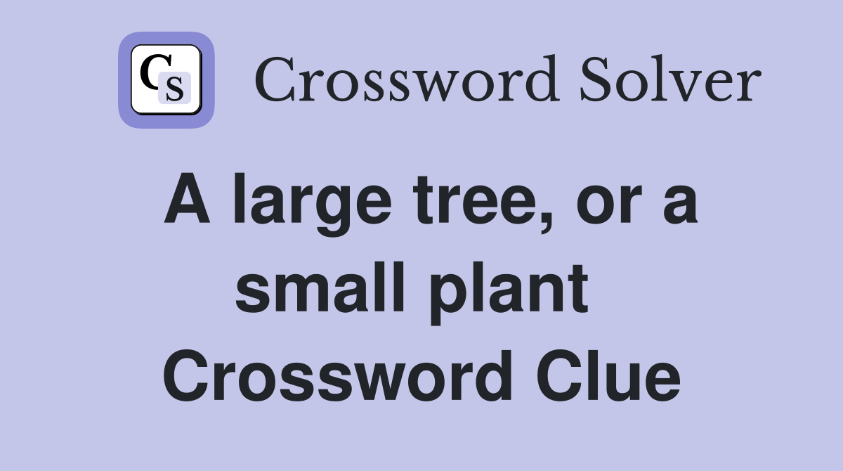A large tree, or a small plant  Crossword Clue