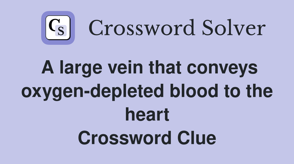 A large vein that conveys oxygen-depleted blood to the heart Crossword Clue