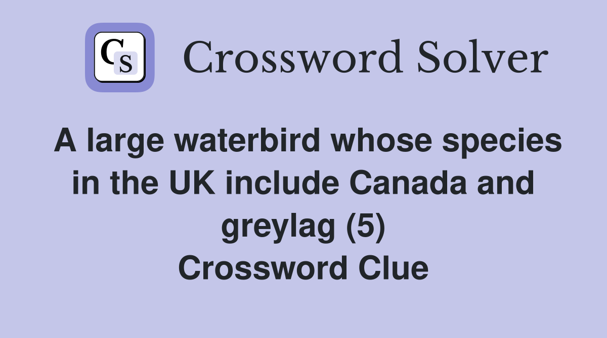 A large waterbird whose species in the UK include Canada and greylag (5) Crossword Clue