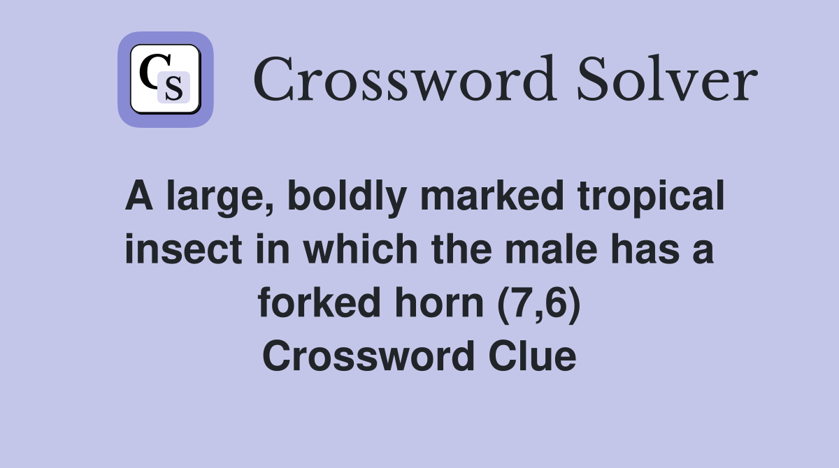 A large, boldly marked tropical insect in which the male has a forked horn (7,6) Crossword Clue