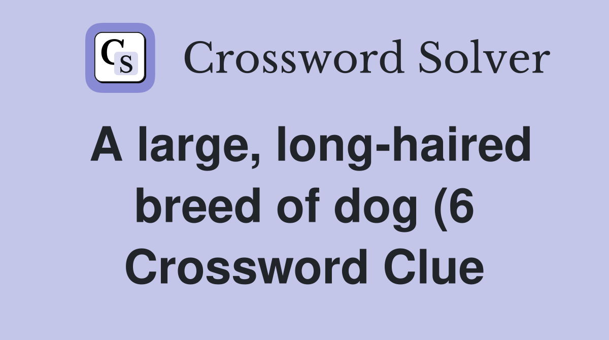 A large long haired breed of dog (6) Crossword Clue Answers A large long haired breed of dog (6) Crossword Clue Answers