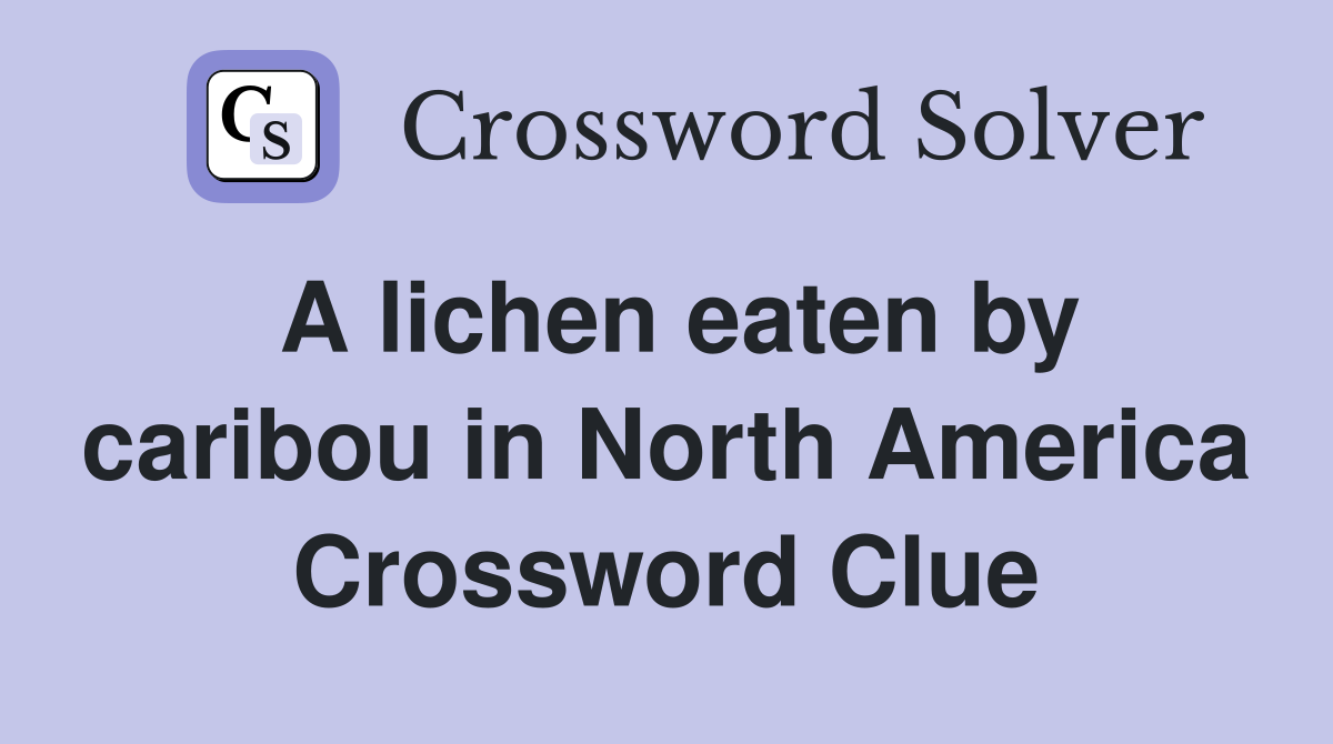 A lichen eaten by caribou in North America Crossword Clue