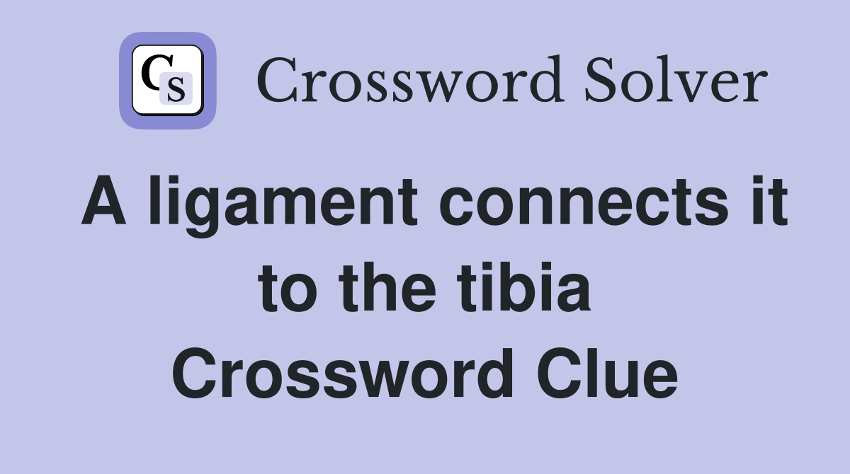 A ligament connects it to the tibia Crossword Clue