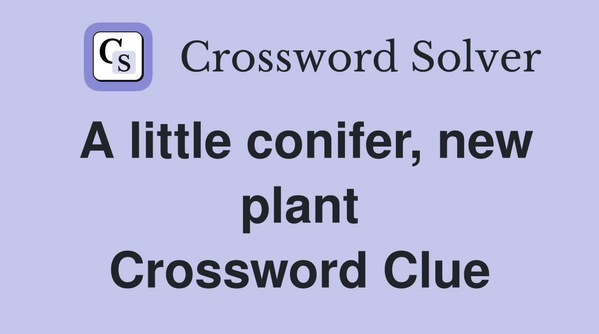 A little conifer, new plant Crossword Clue