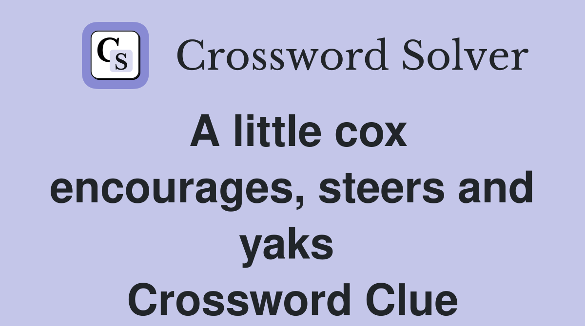 A little cox encourages, steers and yaks  Crossword Clue