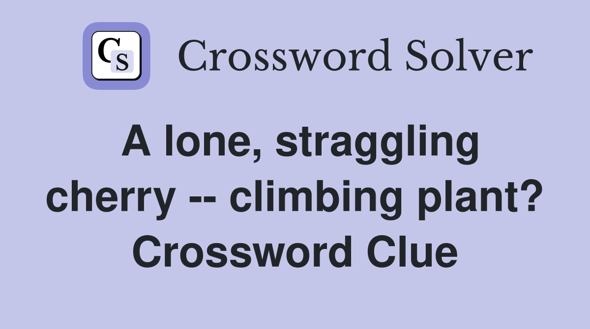 A lone, straggling cherry -- climbing plant? Crossword Clue