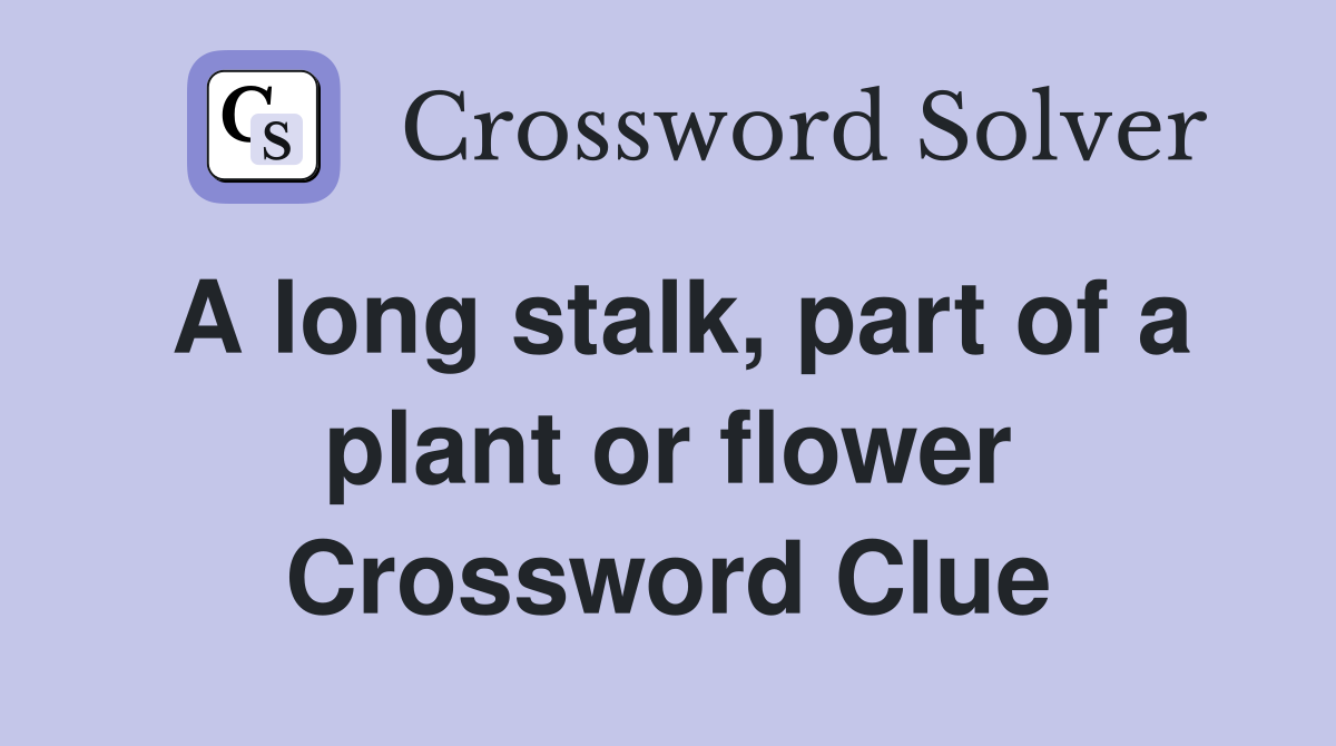 A long stalk, part of a plant or flower Crossword Clue