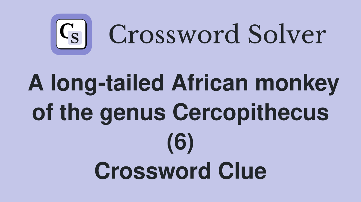 A long-tailed African monkey of the genus Cercopithecus (6) Crossword Clue