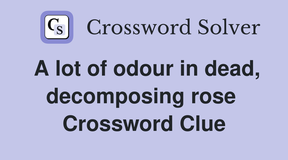 A lot of odour in dead, decomposing rose  Crossword Clue