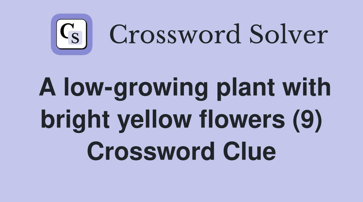A low-growing plant with bright yellow flowers (9) Crossword Clue