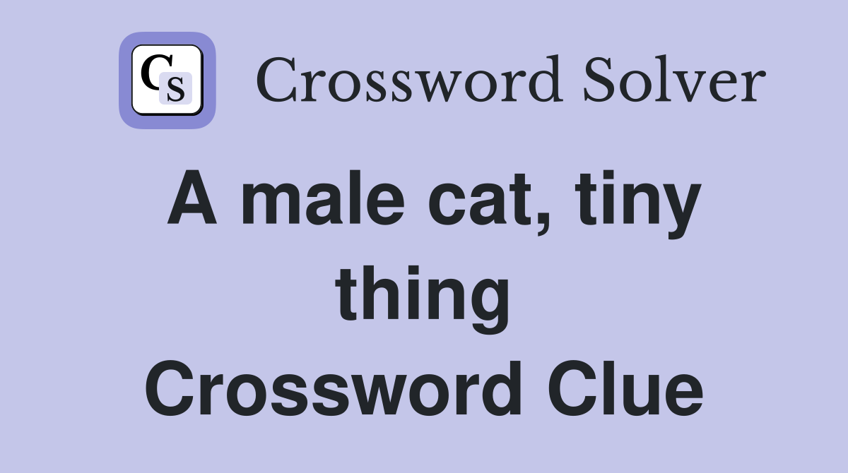 A male cat, tiny thing Crossword Clue