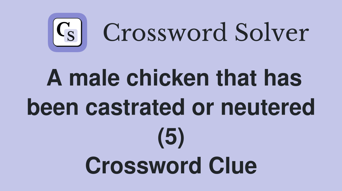 A male chicken that has been castrated or neutered (5) Crossword Clue