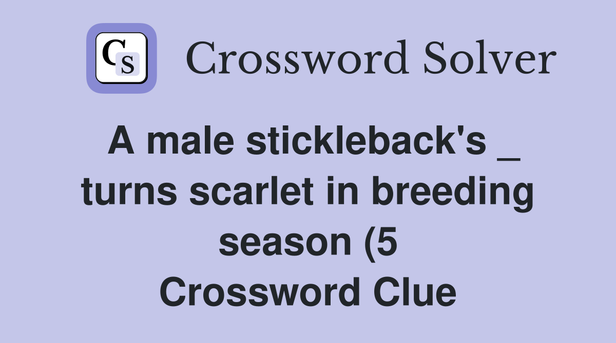 A male stickleback #39 s turns scarlet in breeding season (5) Crossword A male stickleback #39 s turns scarlet in breeding season (5) Crossword
