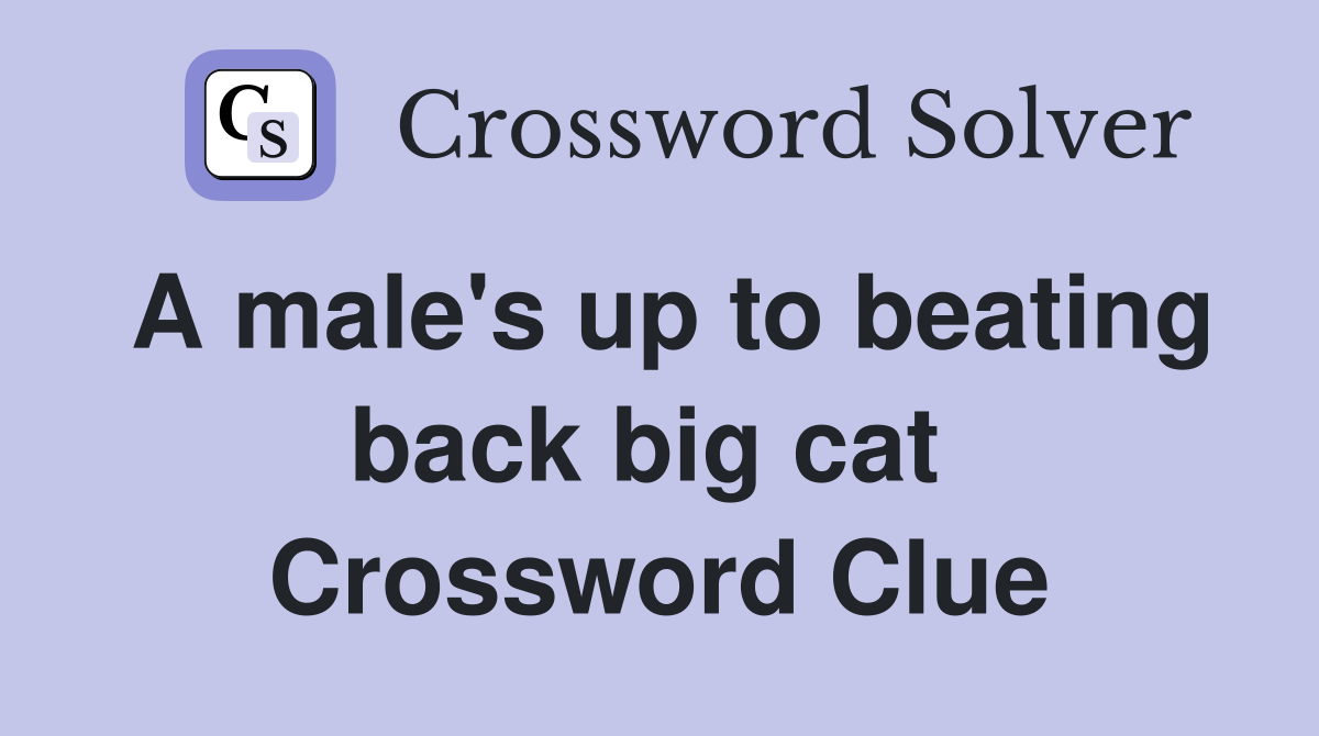 A male's up to beating back big cat  Crossword Clue