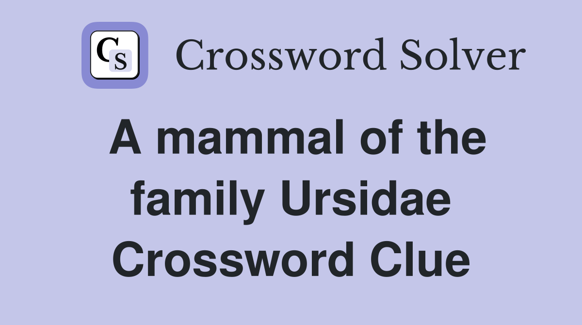 A mammal of the family Ursidae Crossword Clue