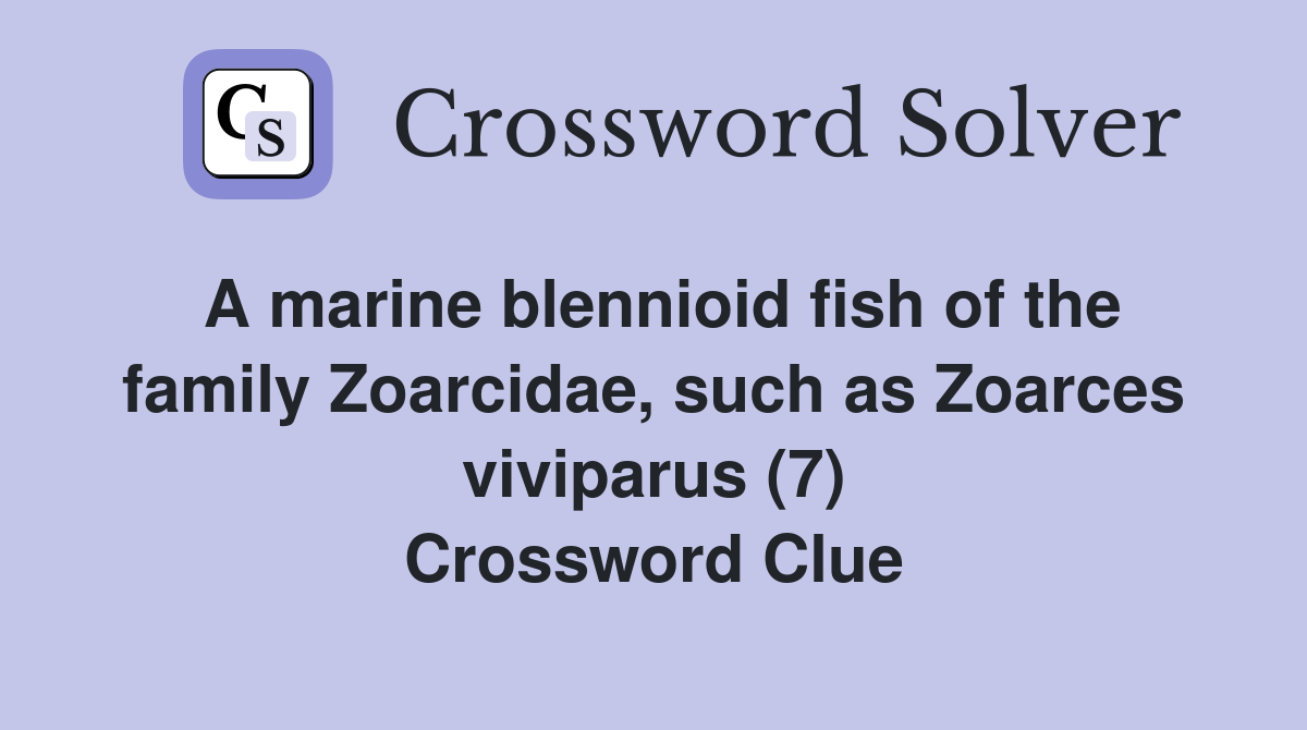 A marine blennioid fish of the family Zoarcidae, such as Zoarces viviparus (7) Crossword Clue