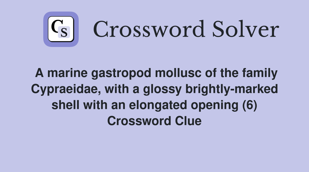 A marine gastropod mollusc of the family Cypraeidae, with a glossy brightly-marked shell with an elongated opening (6) Crossword Clue