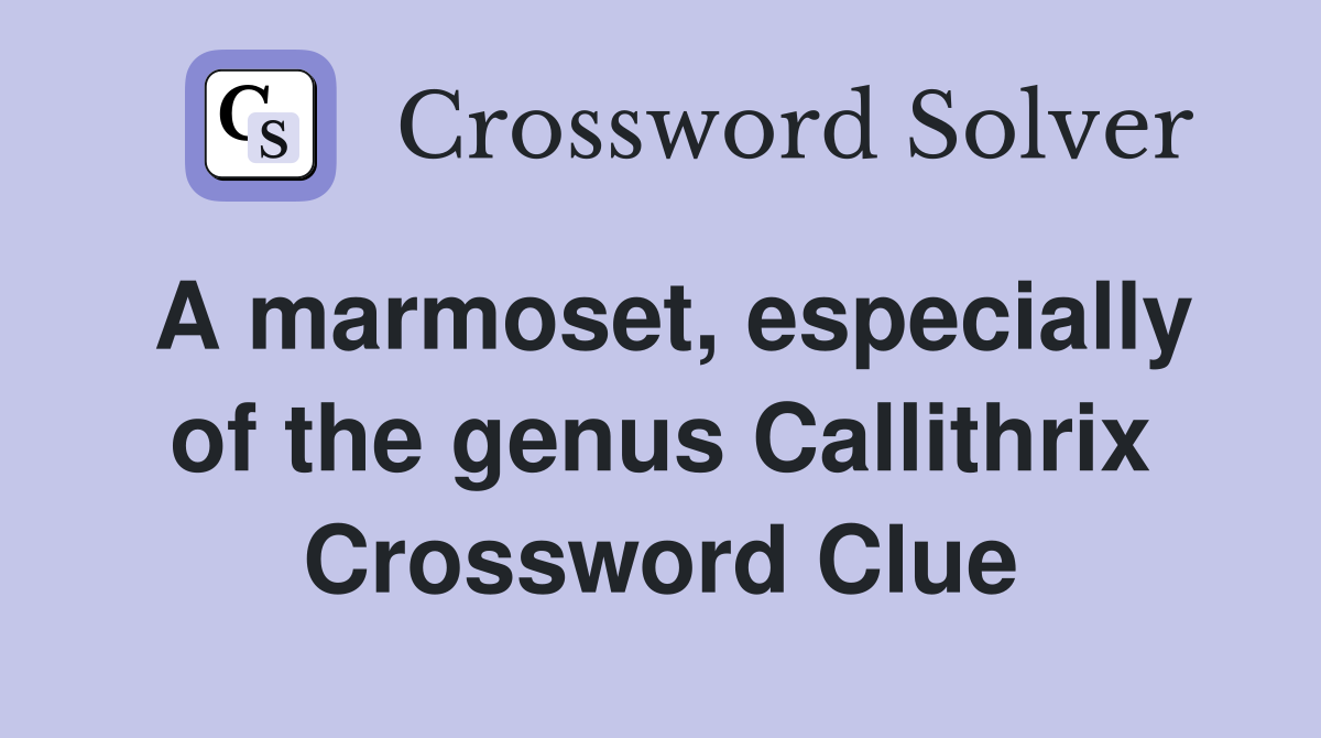 A marmoset, especially of the genus Callithrix Crossword Clue