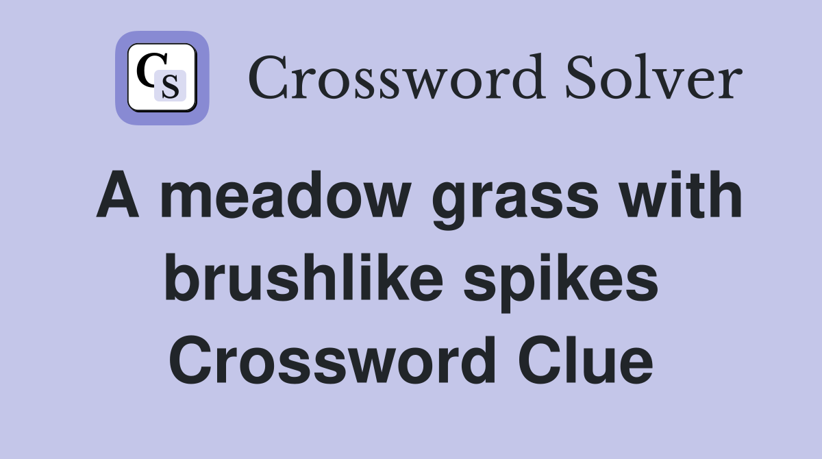 A meadow grass with brushlike spikes Crossword Clue