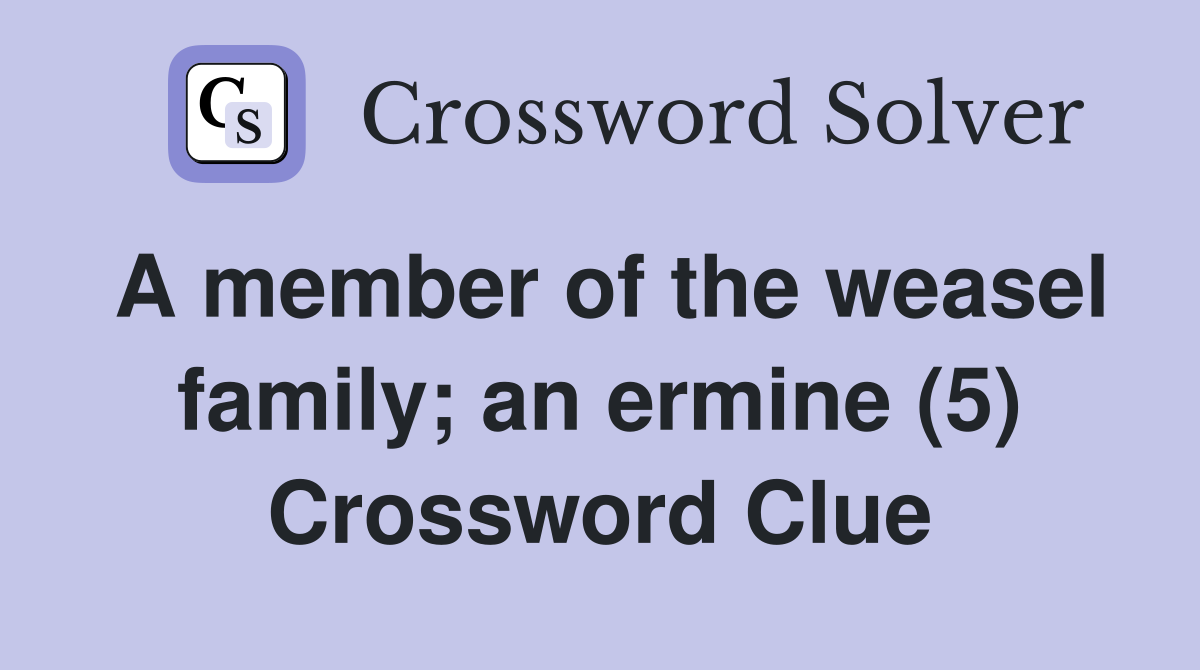 A member of the weasel family; an ermine (5) Crossword Clue