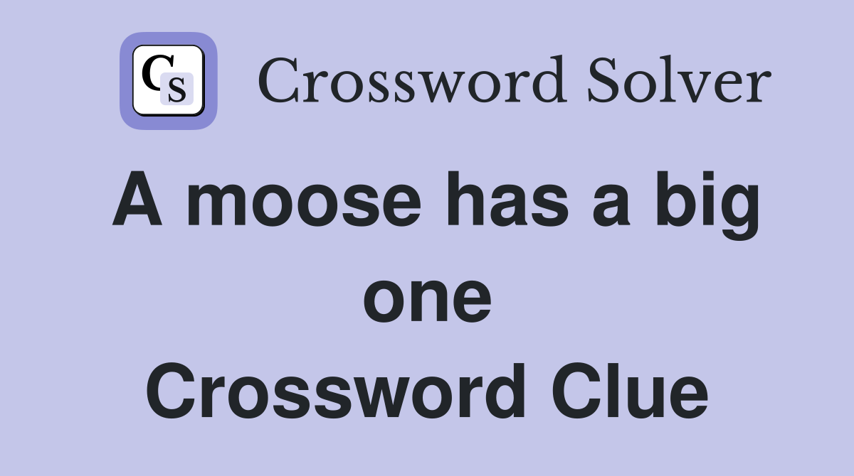 A moose has a big one Crossword Clue