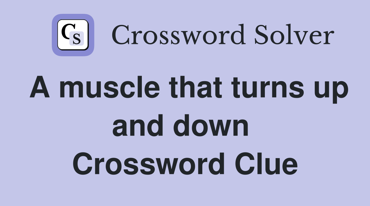 A muscle that turns up and down  Crossword Clue