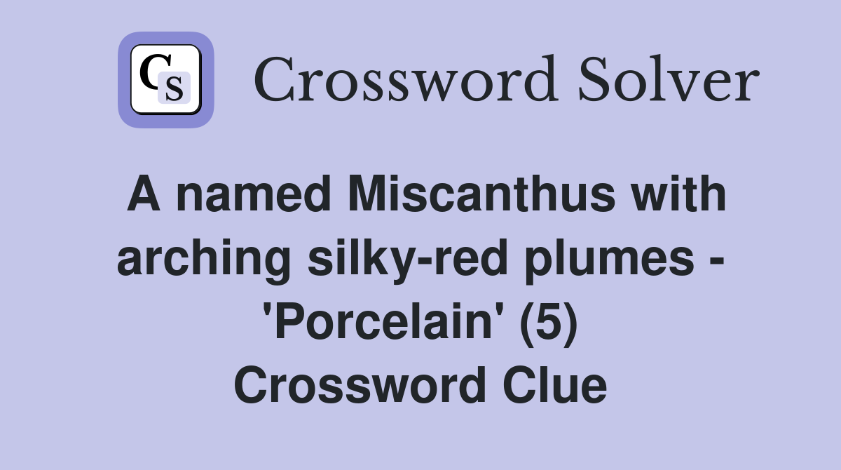 A named Miscanthus with arching silky-red plumes - 'Porcelain' (5) Crossword Clue