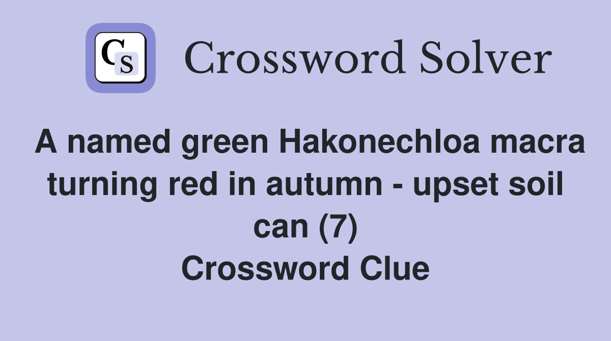 A named green Hakonechloa macra turning red in autumn - upset soil can (7) Crossword Clue