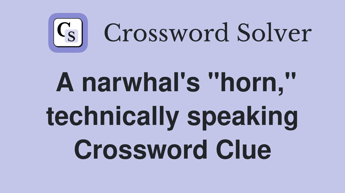 A narwhal's "horn," technically speaking Crossword Clue