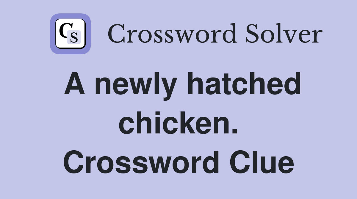 A newly hatched chicken. Crossword Clue