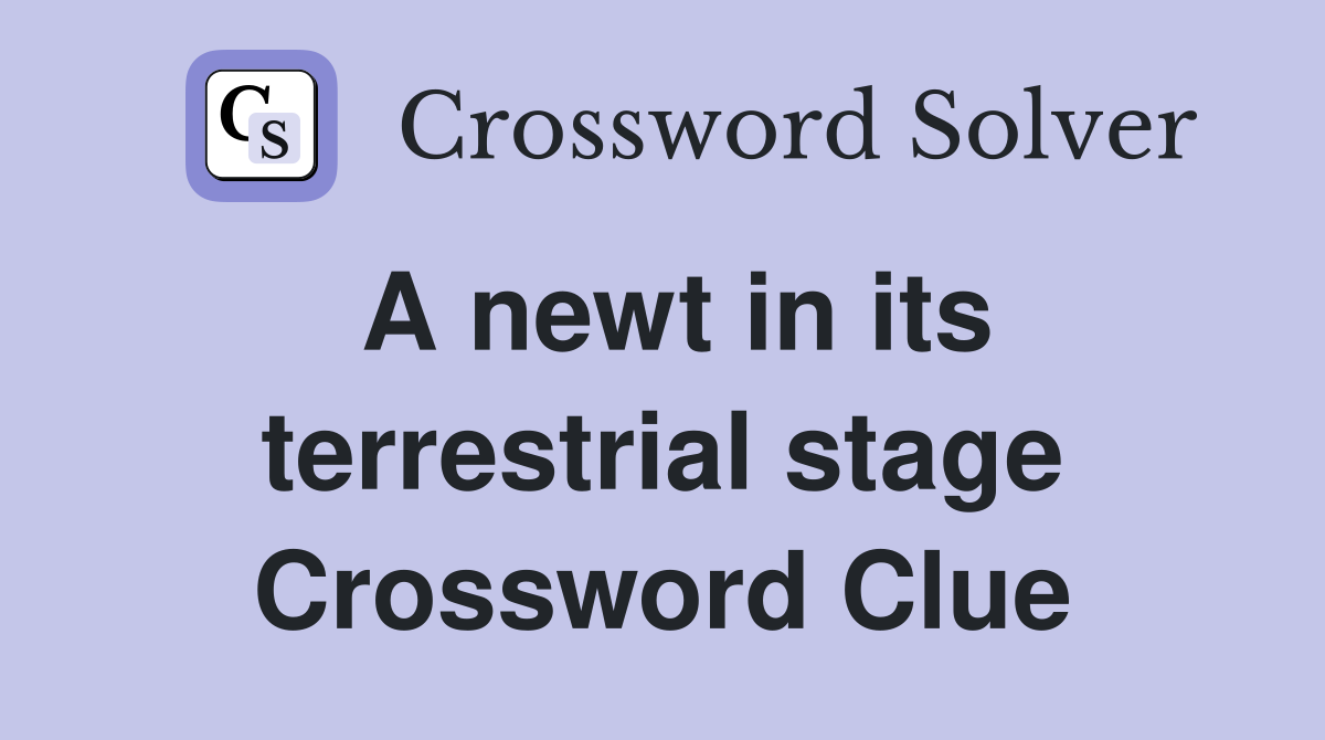 A newt in its terrestrial stage Crossword Clue