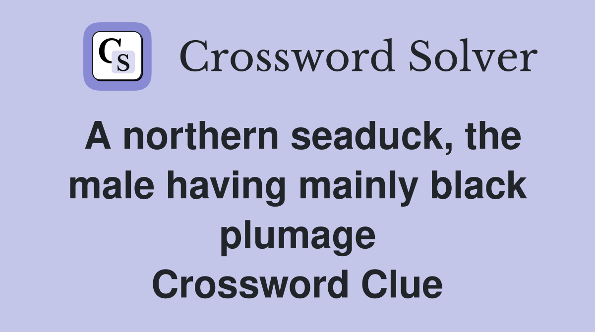 A northern seaduck, the male having mainly black plumage Crossword Clue