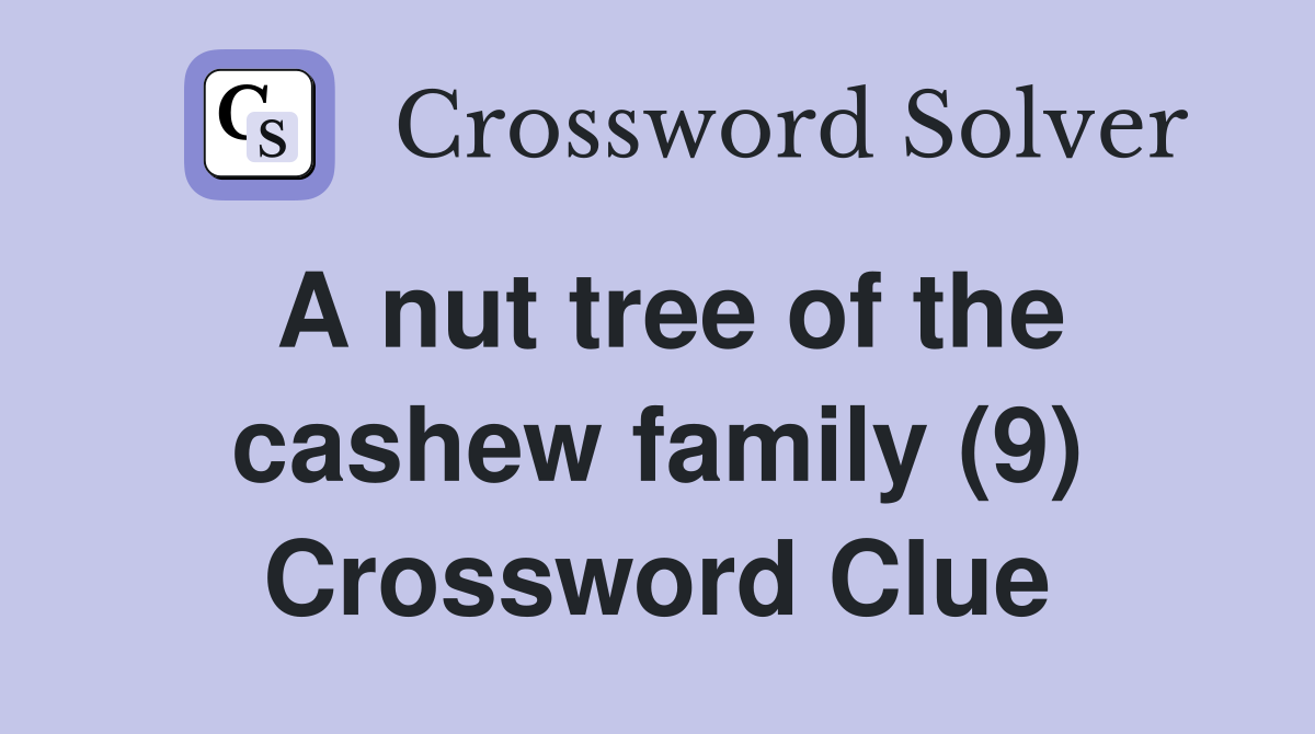 A nut tree of the cashew family (9) Crossword Clue