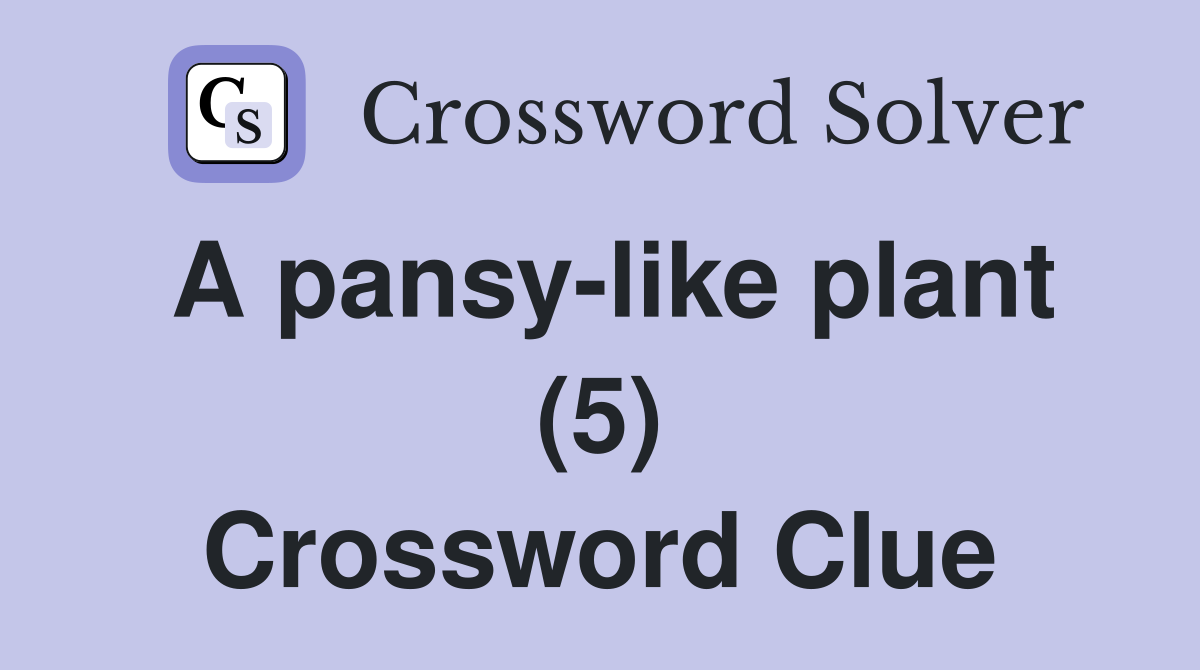 A pansy-like plant (5) Crossword Clue