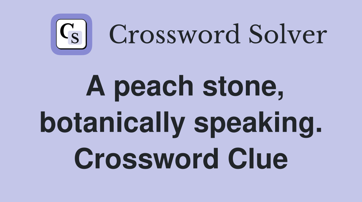 A peach stone, botanically speaking. Crossword Clue