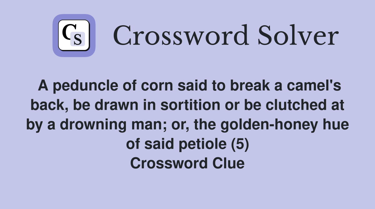 A peduncle of corn said to break a camel's back, be drawn in sortition or be clutched at by a drowning man; or, the golden-honey hue of said petiole (5) Crossword Clue