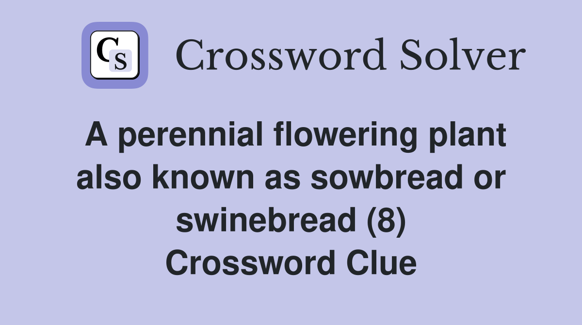 A perennial flowering plant also known as sowbread or swinebread (8) Crossword Clue