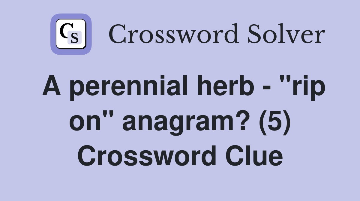 A perennial herb - "rip on" anagram? (5) Crossword Clue